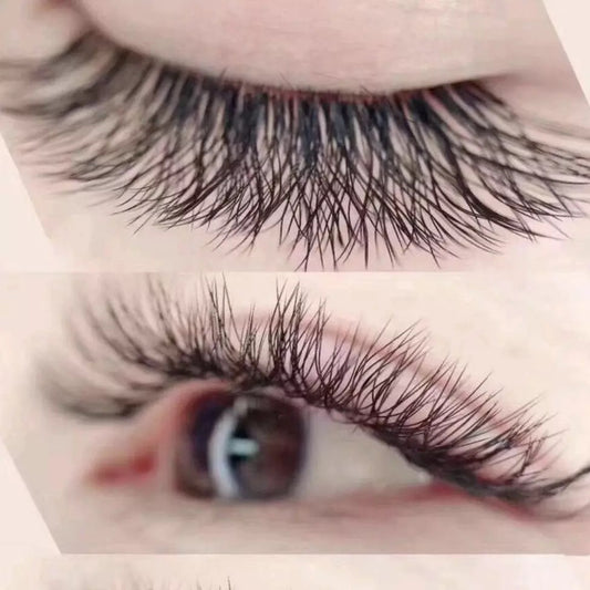 Natural Hybrid Eyelash Extensions